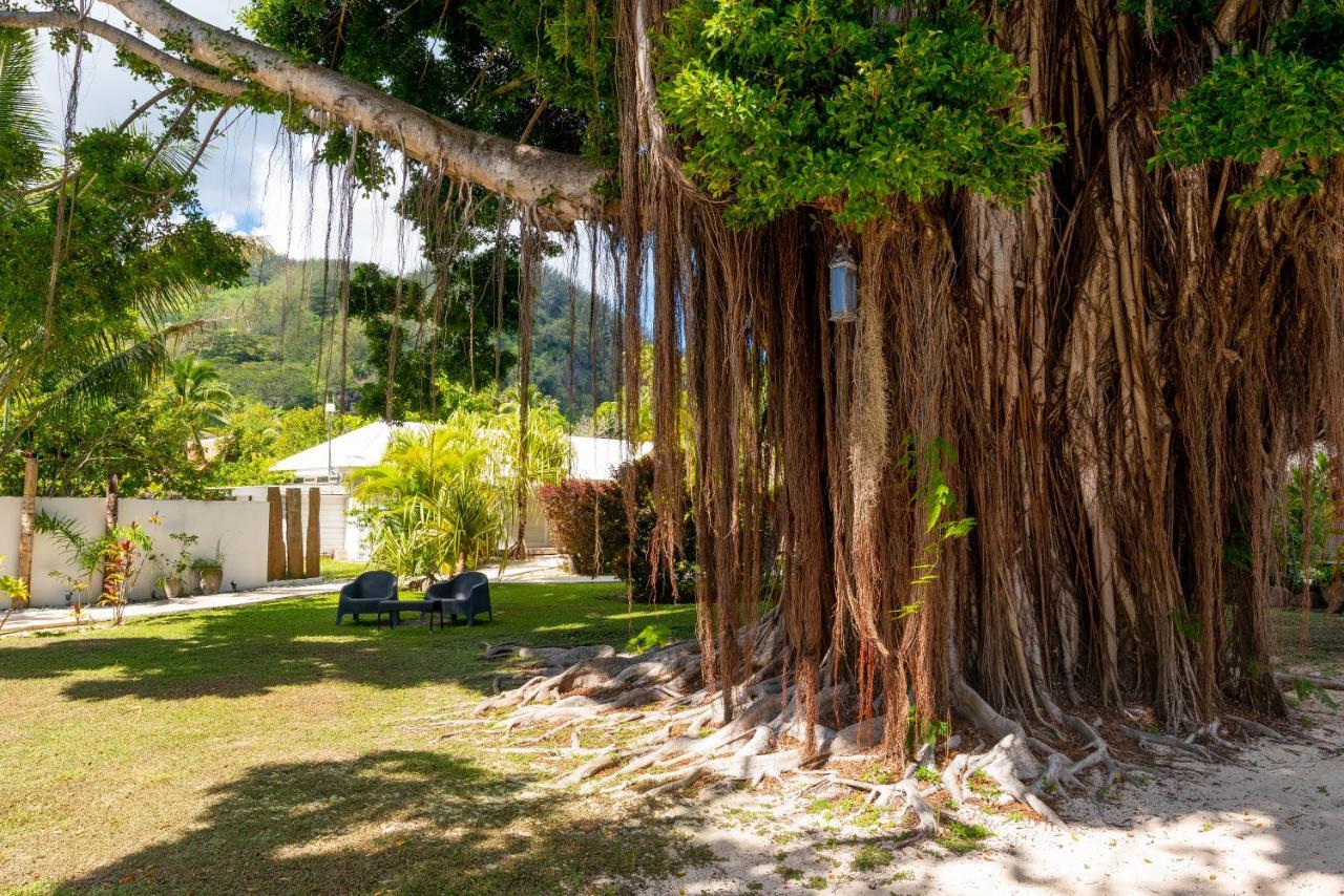 Moorea Beach Lodge Exteriér fotografie