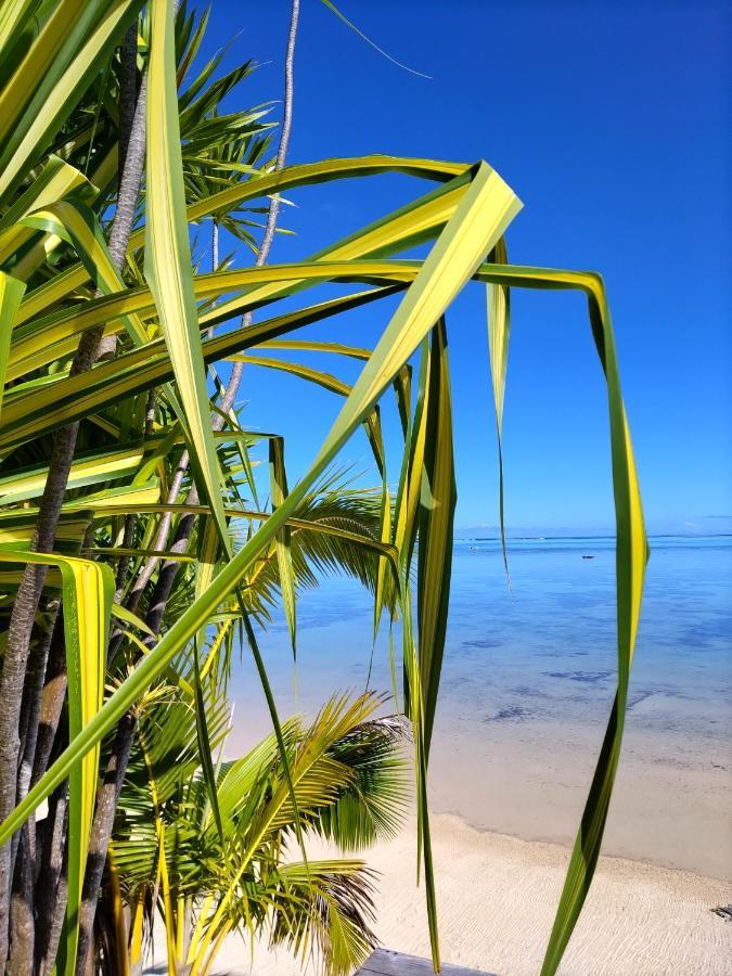 Moorea Beach Lodge Exteriér fotografie