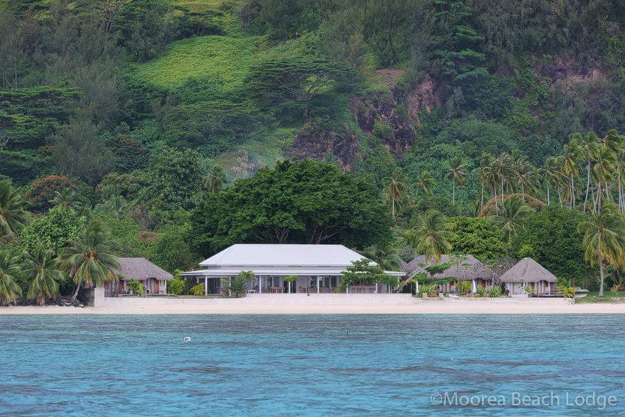 Moorea Beach Lodge Exteriér fotografie